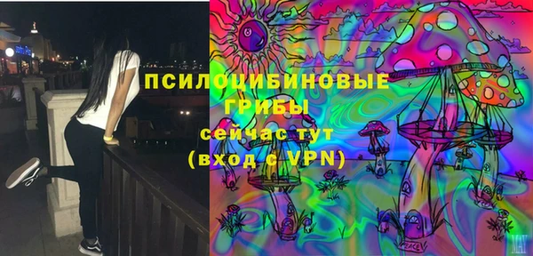 mix Горняк