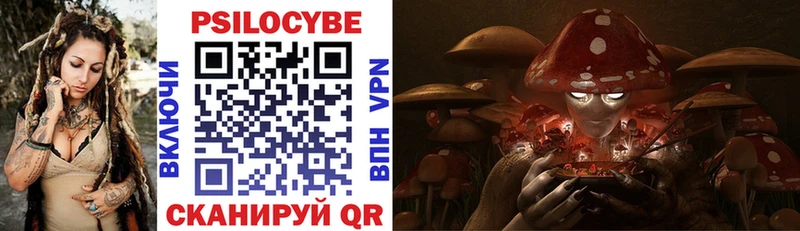 Галлюциногенные грибы Magic Shrooms  где купить   hydra зеркало  Южно-Сахалинск 